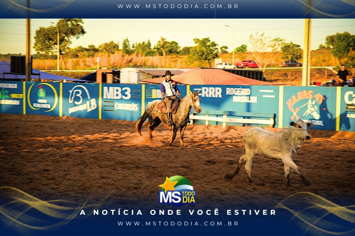 Imagem da Galeria